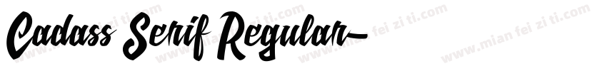 Cadass Serif Regular字体转换